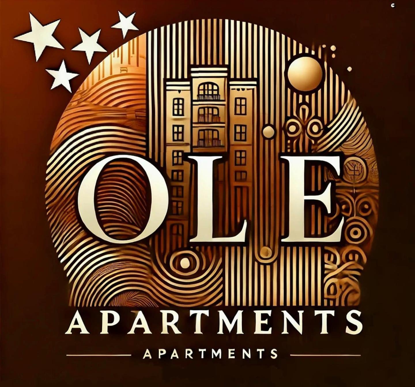 Ole Apartment - Get Your Energy For Free! Coffee And Tea On The House Timisoara Exterior photo
